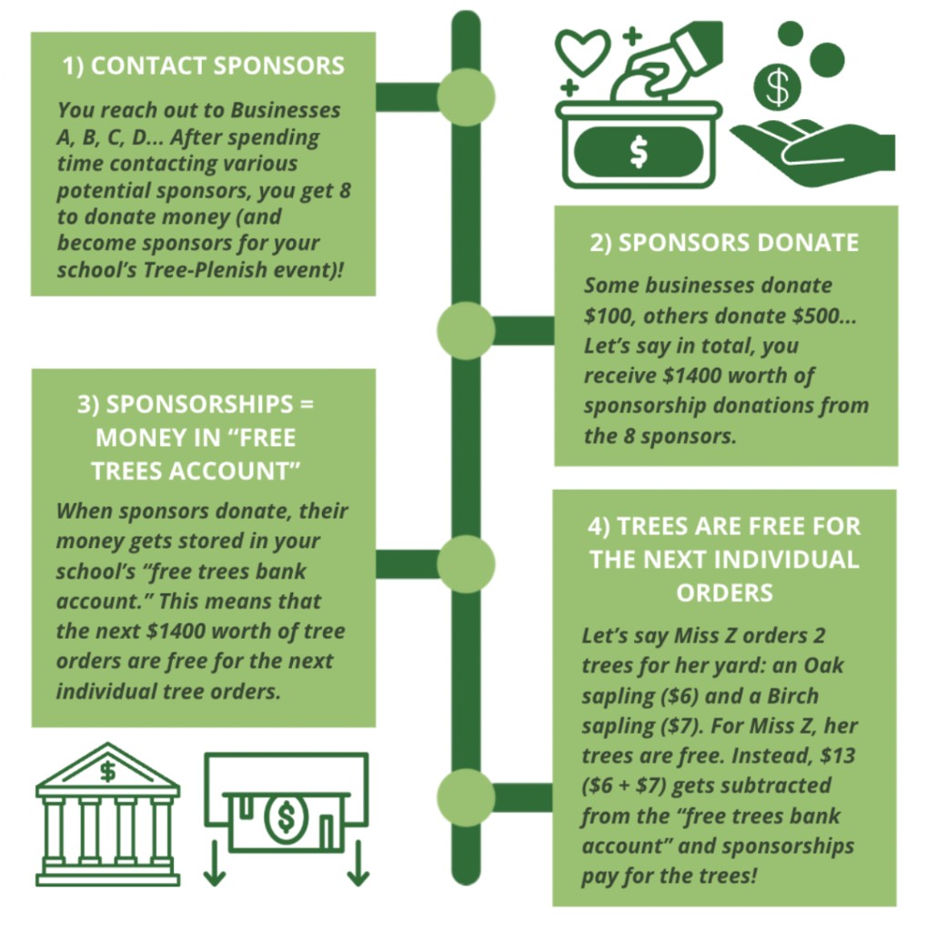Infographic explaining how Tree-Plenish sponsorship donations make saplings free for individual orders