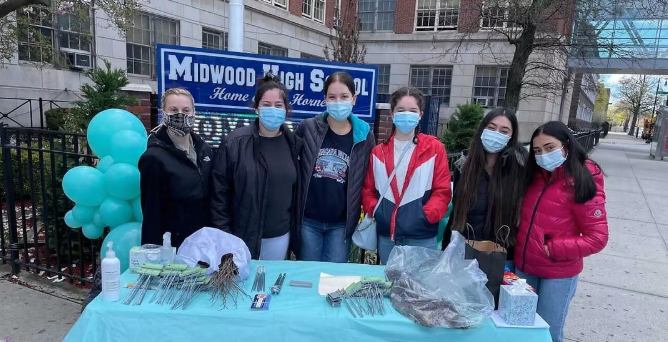 Volunteers distributing saplings at a school event