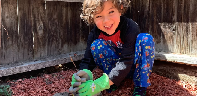 Volunteer planting a sapling